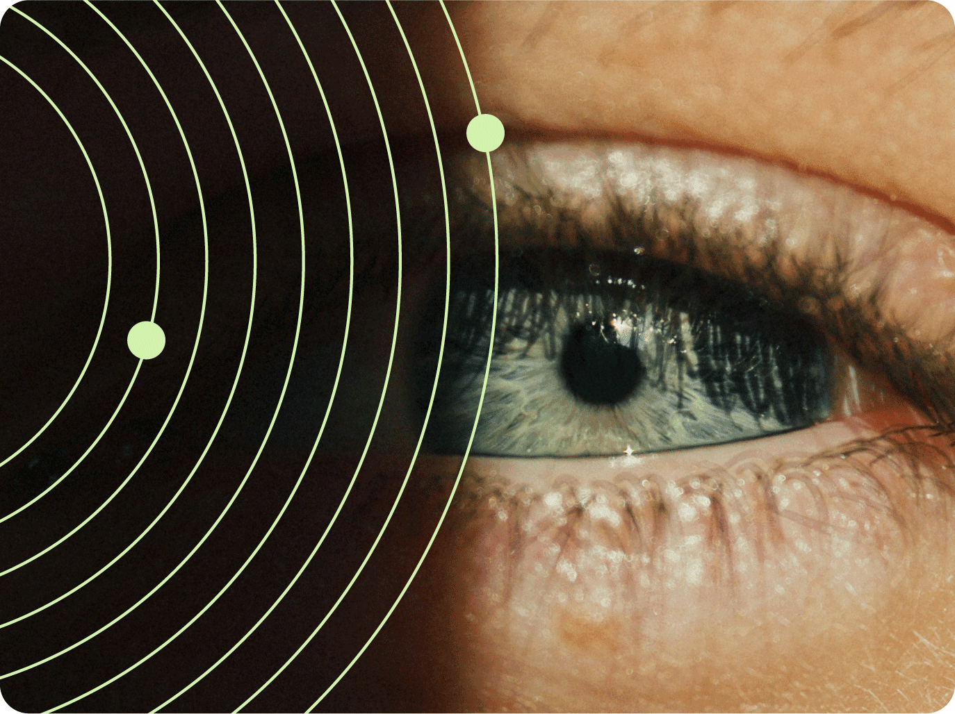 Curated furniture collection